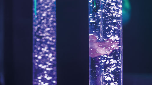 Springfield SEND Sensory Room